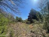 317 Mountain View Drive - Photo 28
