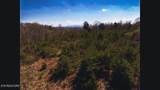 317 Mountain View Drive - Photo 31