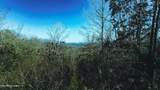 317 Mountain View Drive - Photo 45