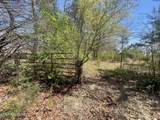 317 Mountain View Drive - Photo 5