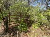 317 Mountain View Drive - Photo 7
