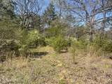 317 Mountain View Drive - Photo 8