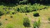 4220 Spar Drive - Photo 59