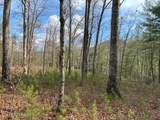  Mountain Ash Way - Photo 1