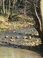  Mountain Ash Way - Photo 13