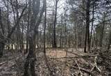 Bear Creek Rd Off Rd - Photo 10