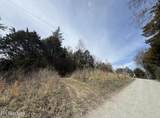  Bear Creek Rd Off Rd - Photo 3