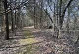  Bear Creek Rd Off Rd - Photo 6