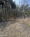  Bear Creek Rd Off Rd - Photo 7