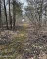  Bear Creek Rd Off Rd - Photo 9