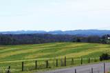 Tract 1 Baker Rd - Photo 14