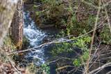 150 Clear Branch Rd N - Photo 11