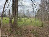  Honey Creek Loop Rd - Photo 2