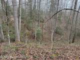  Honey Creek Loop Rd - Photo 4