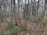  Honey Creek Loop Rd - Photo 5