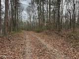  Honey Creek Loop Rd - Photo 7