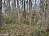  Honey Creek Loop Rd - Photo 8