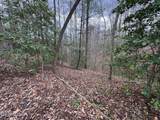  Honey Creek Loop Rd - Photo 9