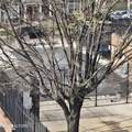 1509 Highland Ave - Photo 14