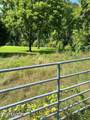  River Bank Rd - Photo 11