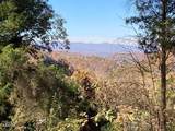  Elkins Valley Rd - Photo 11