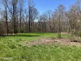  Elkins Valley Rd - Photo 2