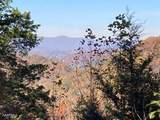  Elkins Valley Rd - Photo 5