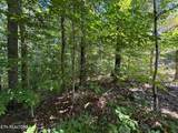 Lot 6 Saddle Brook Way - Photo 1