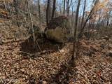  Parcel 053 050.00 Obes Branch Rd - Photo 53