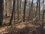  Parcel 053 050.00 Obes Branch Rd - Photo 59