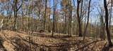  Parcel 053 050.00 Obes Branch Rd - Photo 60