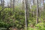 Lot 12 Vanhorn Rd - Photo 1