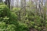 Lot 12 Vanhorn Rd - Photo 2