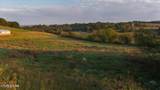 5412 Old Niles Ferry Rd - Photo 14