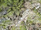  Old Spencer Road - 100 Acres - Photo 12