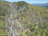  Rockfort Road - 100 Acres - Photo 13