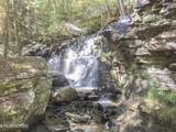  Rockfort Road - 100 Acres - Photo 33
