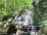  Rockfort Road - 100 Acres - Photo 4