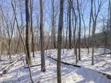  Rockfort Road - 100 Acres - Photo 6