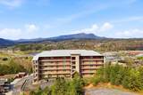 410 Big Bear Way - Photo 29