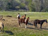 5816 Caldwell Rd - Photo 23