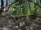  Huckleberry Way - Photo 7
