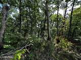  Huckleberry Way - Photo 9
