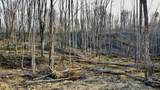 Lot#12 Mill Creek Rd - Photo 11