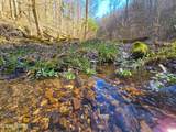 515 Robinson Rd - Photo 7
