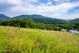 145 Mountain Mist Drive - Photo 6