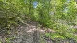 0 Coveside Way - Photo 8