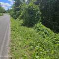  Petit Lane - Photo 3