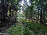 Tract 9 Pleasant Hill Rd - Photo 13
