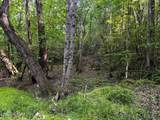Tract 9 Pleasant Hill Rd - Photo 21